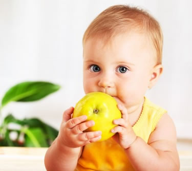 1 Year Old - Nutritional Counseling